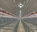 Vollständige Einführung in die Ausrüstung für die Schweinehaltung
