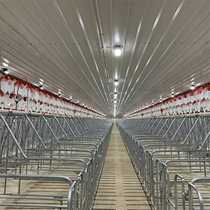 Vollständige Einführung in die Ausrüstung für die Schweinehaltung